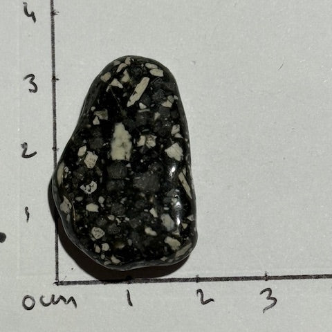 Jaspe Pintade OASIS DE CRISTAL