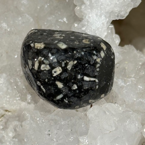 Jaspe Pintade OASIS DE CRISTAL