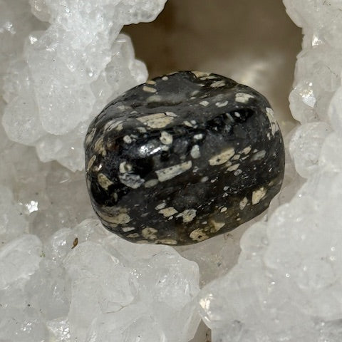 Jaspe Pintade OASIS DE CRISTAL