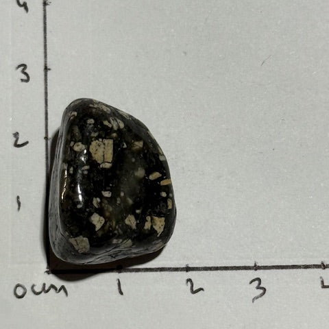 Jaspe Pintade OASIS DE CRISTAL