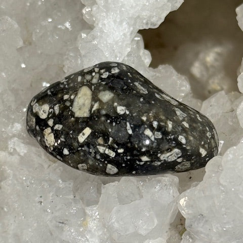 Jaspe Pintade OASIS DE CRISTAL