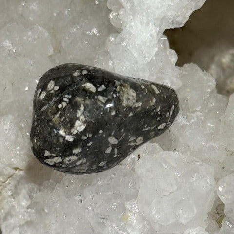 Jaspe Pintade OASIS DE CRISTAL