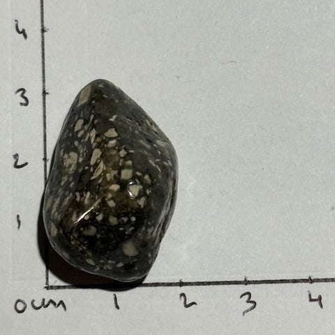 Jaspe Pintade OASIS DE CRISTAL