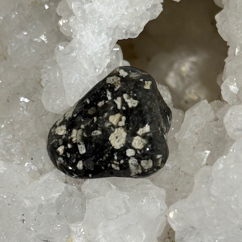 Jaspe Pintade OASIS DE CRISTAL