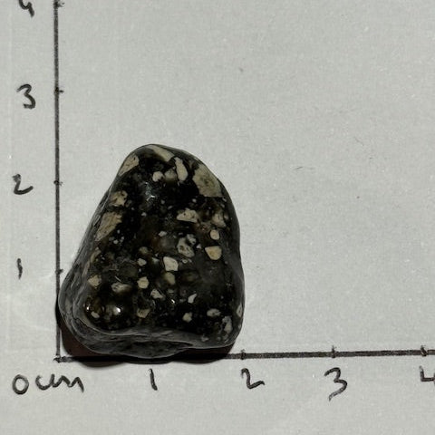 Jaspe Pintade OASIS DE CRISTAL