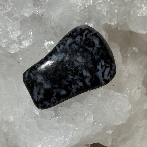 Gabbro Indigo ( Merlinite Mystique)