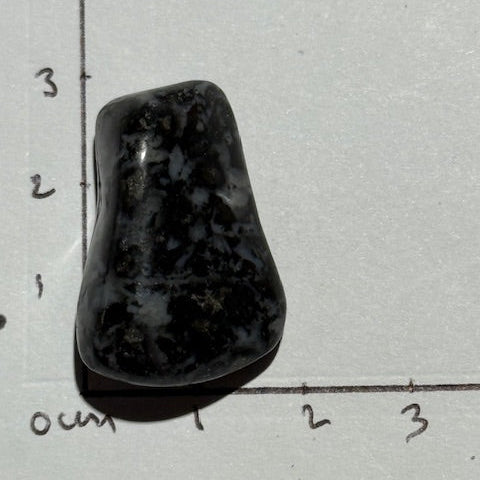 Gabbro Indigo ( Merlinite Mystique)