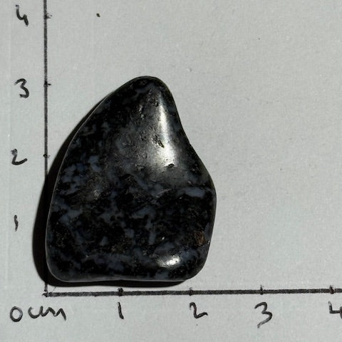 Gabbro Indigo ( Merlinite Mystique)