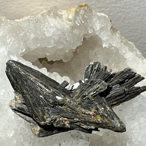 Cyanite Noire