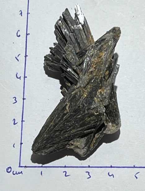 Cyanite Noire