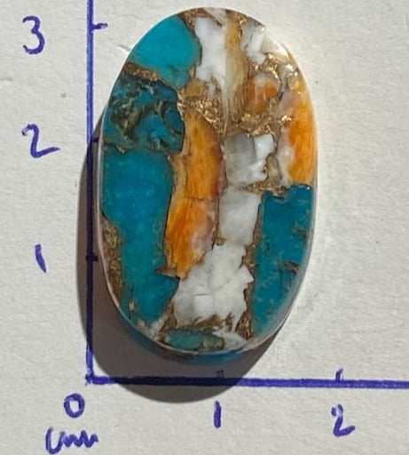 Turquoise/ Spondulus/