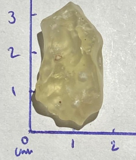 Tectite Dorée (Verre Libyque)