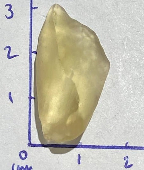 Tectite Dorée  (Verre Libyque)