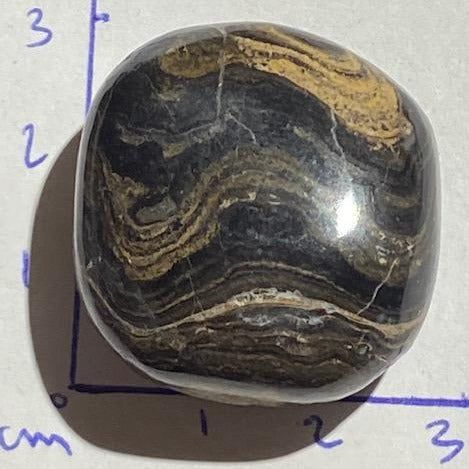 Stromatolite 