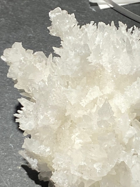 White Aragonite "Coral"