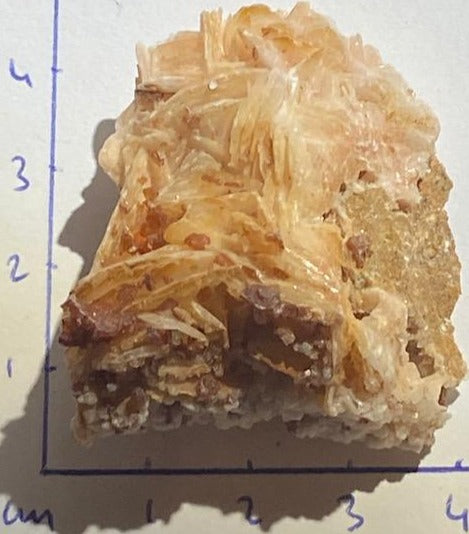 Vanadinite sur Baryte