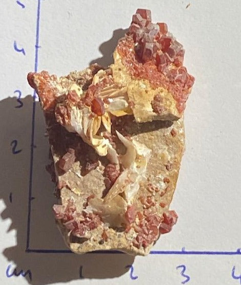 Vanadinite sur Baryte