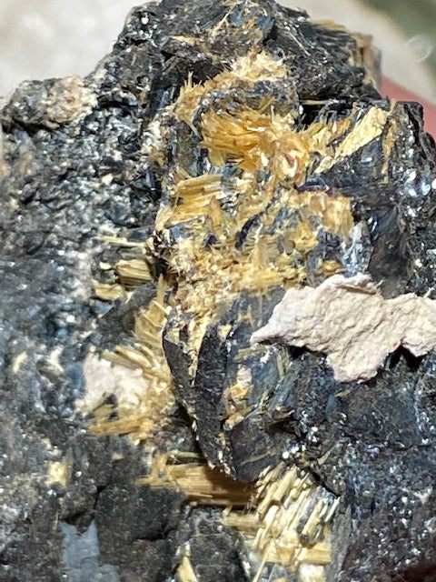 Rutilated Gold on Hematite