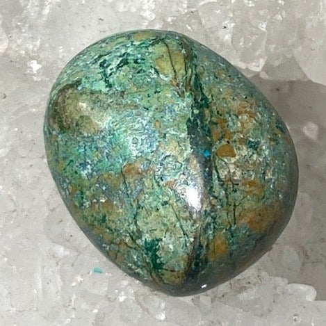 Chrysocolle 