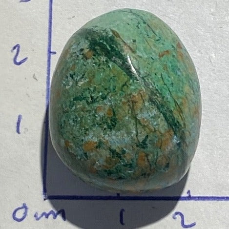 Chrysocolle 