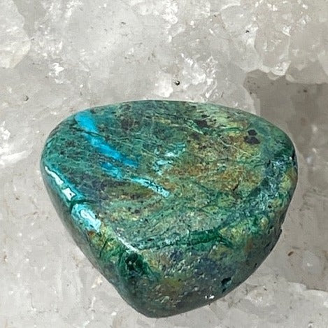 Chrysocolle 