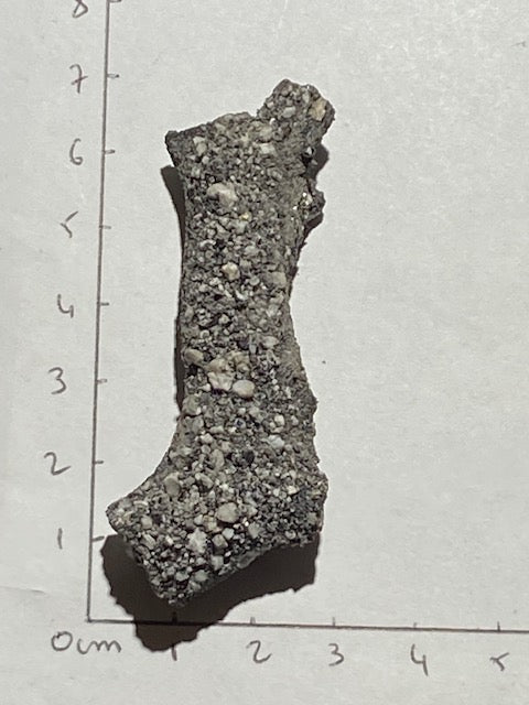 Black Root Fulgurite (Very Rare) 