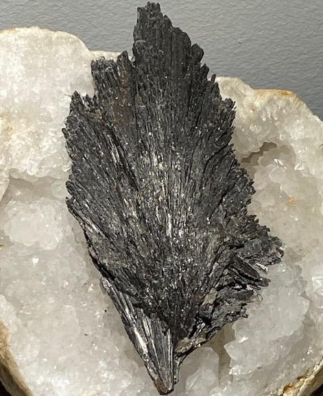 cyanite noire 