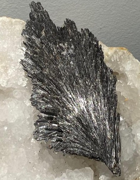 cyanite noire 