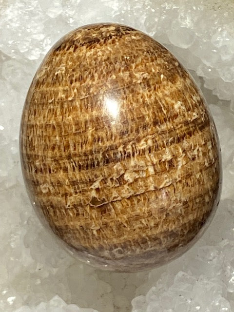 Herringbone Aragonite Egg