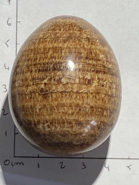 Herringbone Aragonite Egg
