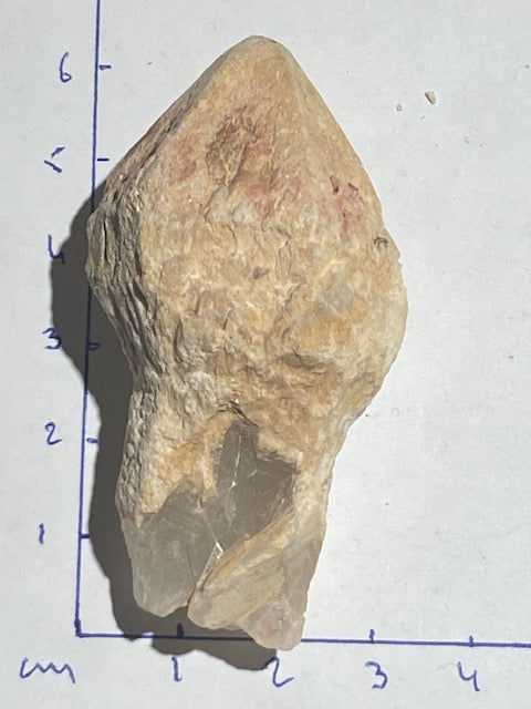 Quartz Sceptre Céleste